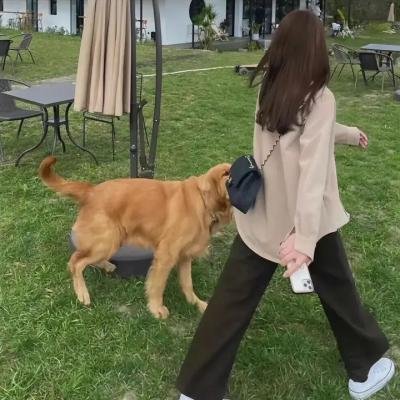 少爷当腻了只想好好打工
